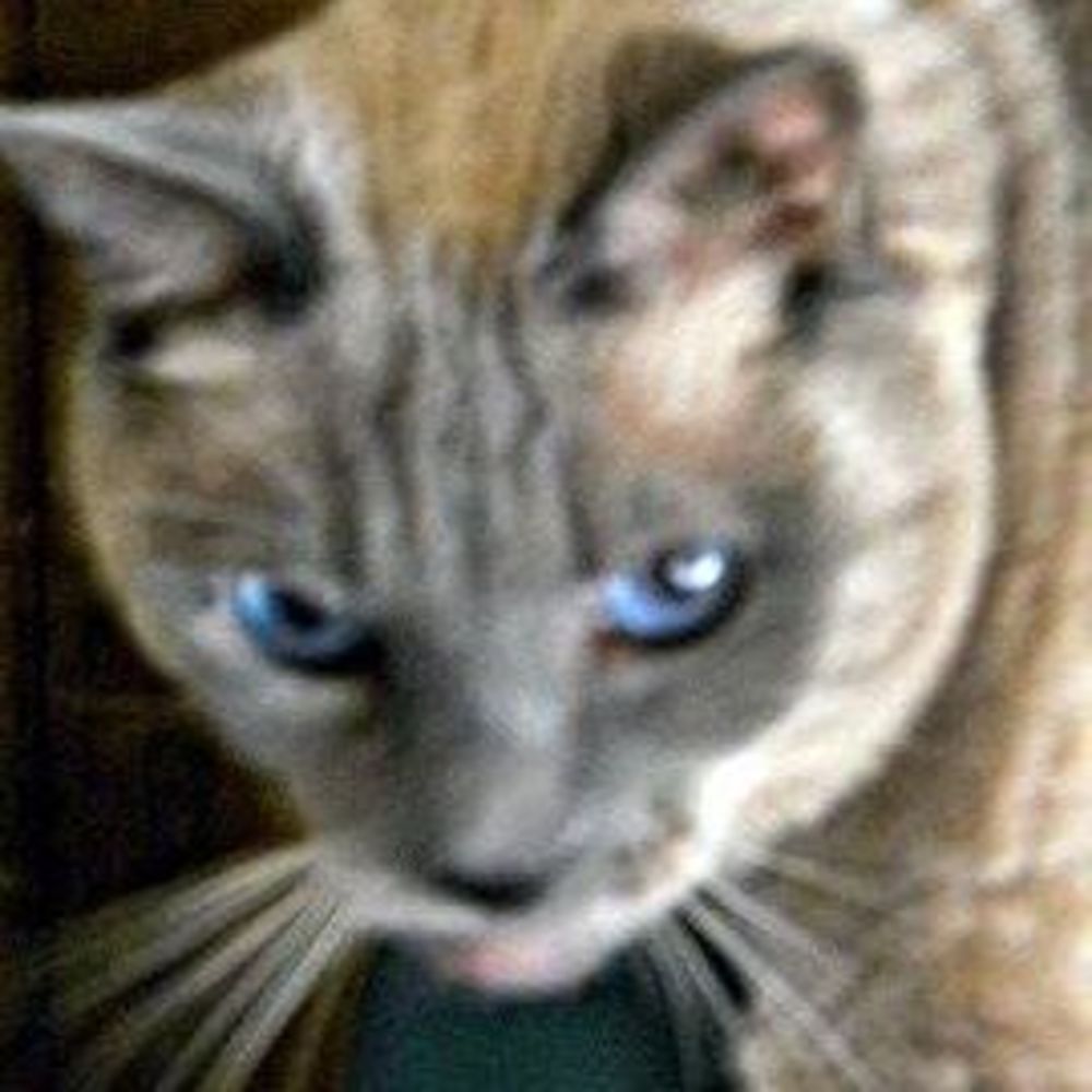 Meet your Posher, Judith